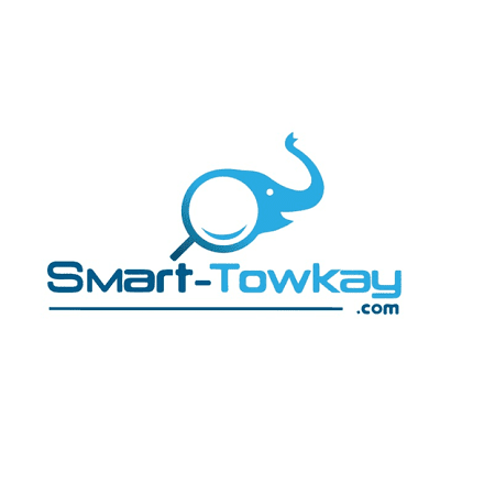 smart towkay logo 1