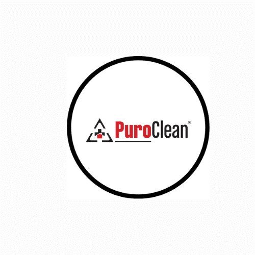 pirp clean logo 1