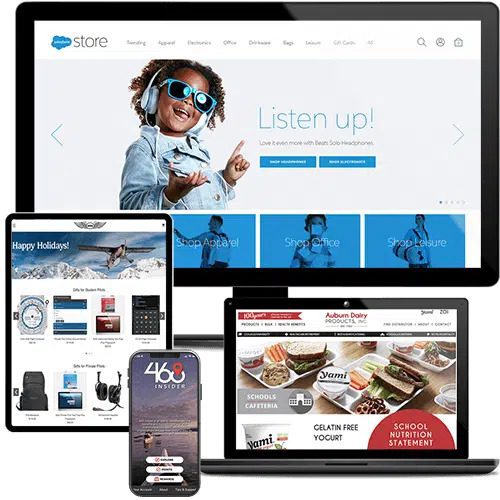 ecommerce web design seattle